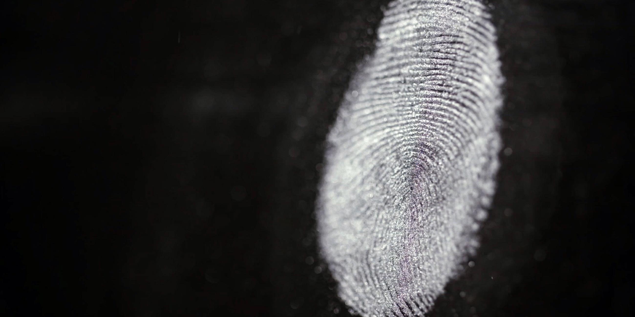 "Auf der Spur des Verbrechens - Forensiker im Einsatz: Genetischer Fingerabdruck": Nahaufnahme eines Fingerabdrucks. Erkennbar sind die einzigartigen Linien in der Haut.