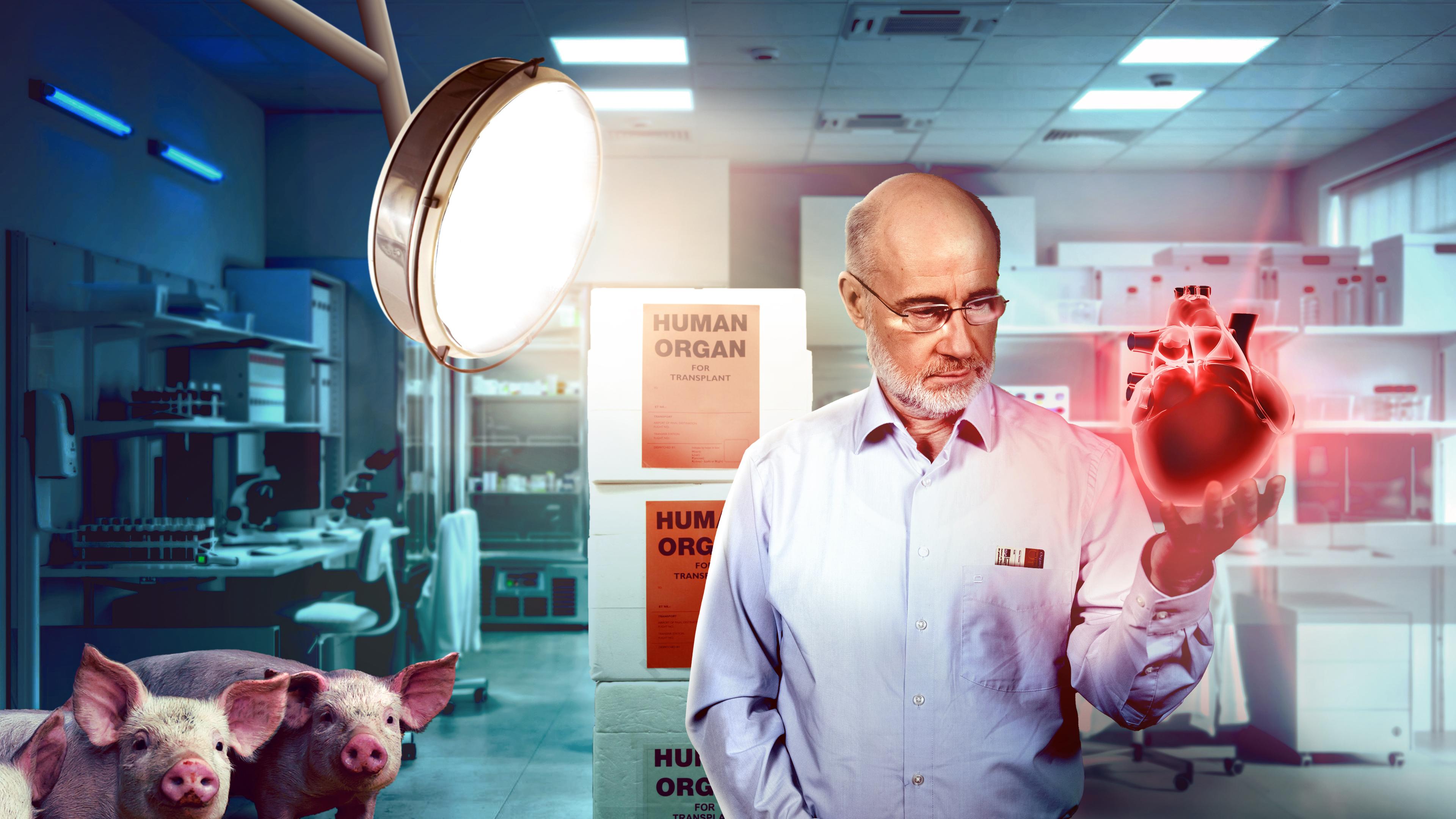 Harald Lesch in einem Labor - hält ein Herz in der Hand