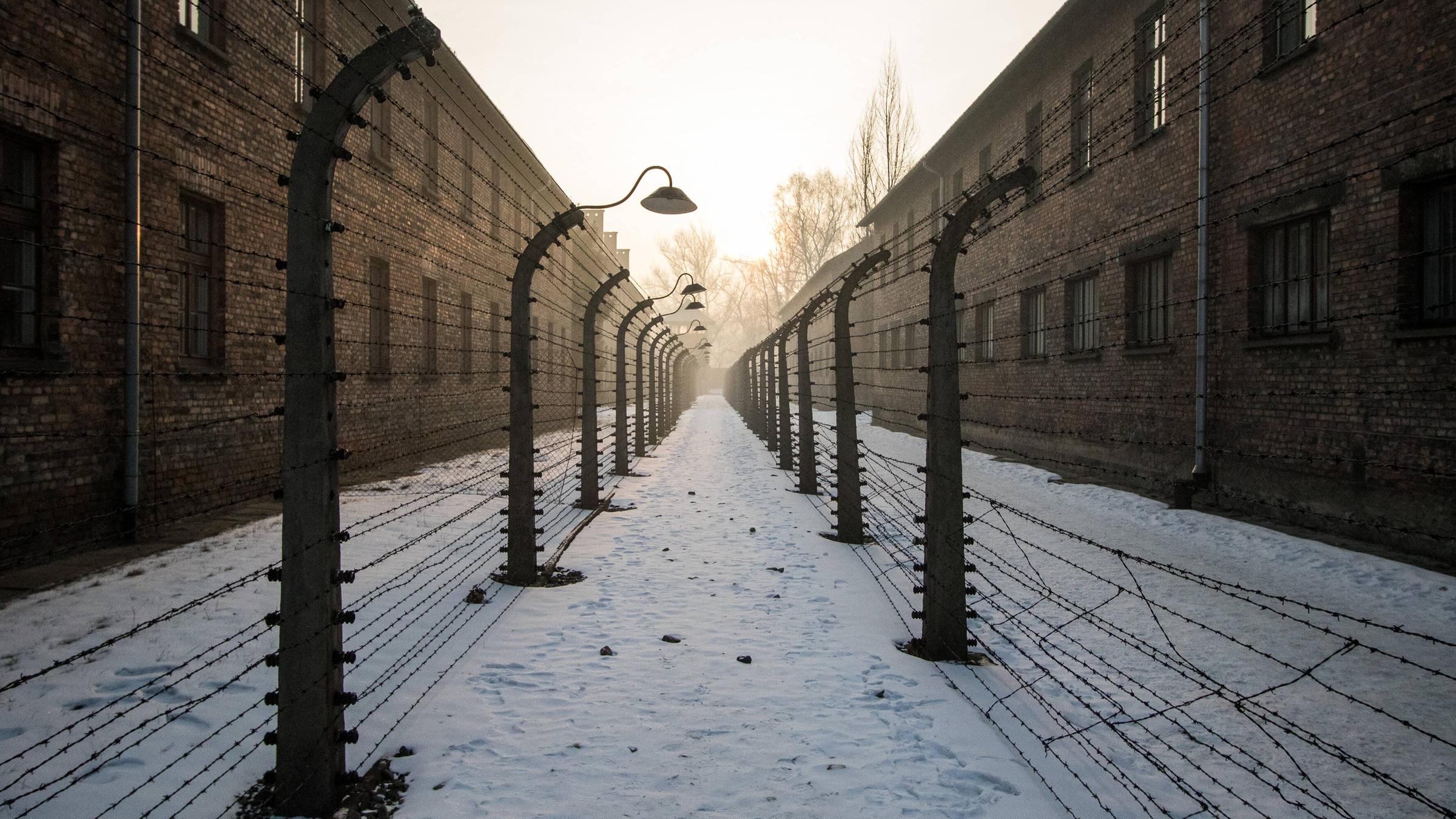 Auschwitz-Birkenau, Holocaust-Gedenken