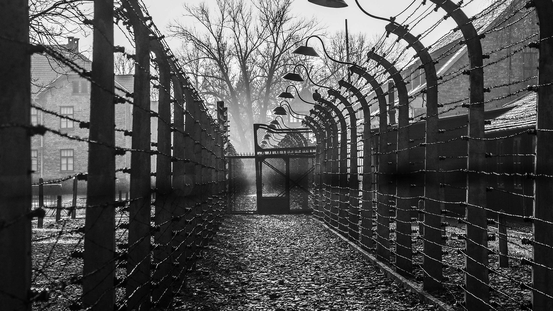 Stacheldrahtzaun in Auschwitz