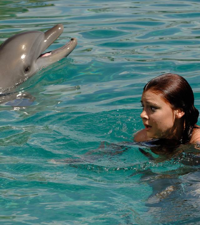Charlotte hat Angst vor Delfinen. Sie schwimmt mit einem Delfin zusammen an der Wasseroberfläche und sieht sehr ängstlich aus.