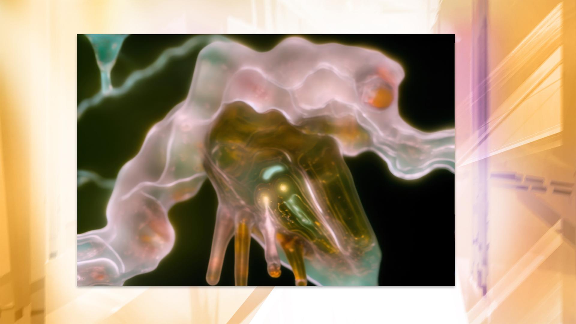 Man sieht die futuristisch wirkende Nahaufnahme eines Pflanzenteils.