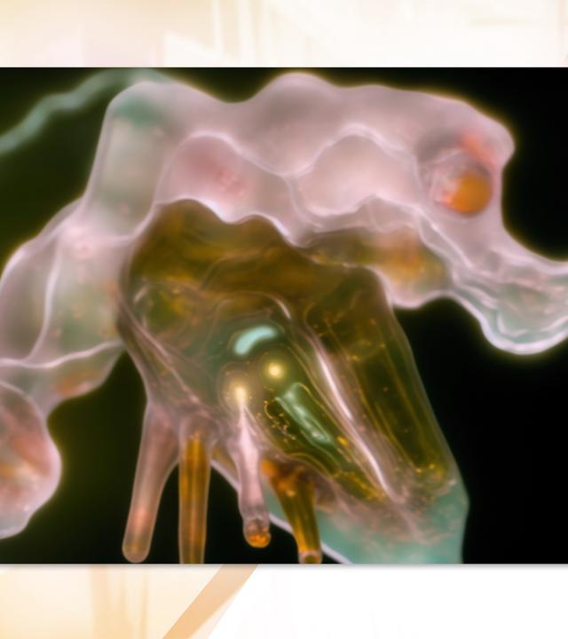 Man sieht die futuristisch wirkende Nahaufnahme eines Pflanzenteils.