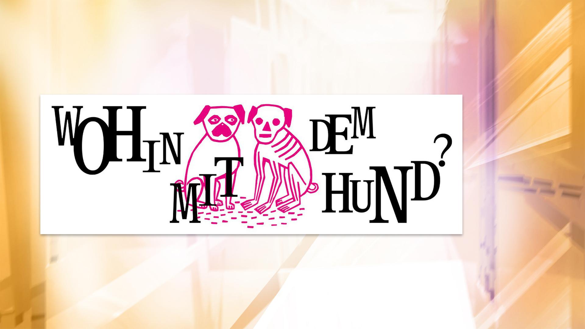 Auf einem Plakat sind zwischen dem Ausstellungstitel Wohin mit dem Hund? die Zeichnung eines Hundes und eines Hundeskeletts zu sehen.