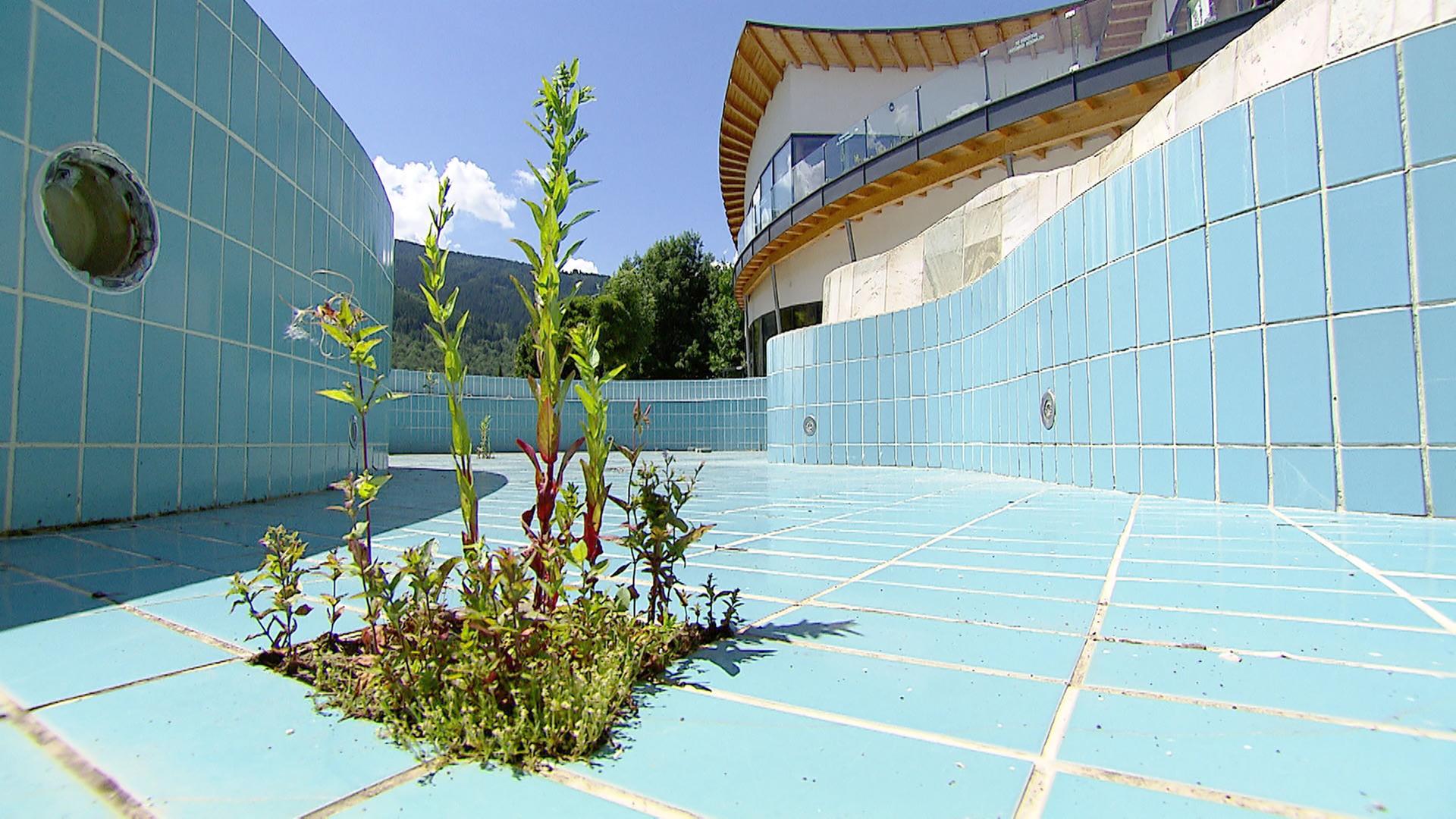 Das Bild zeigt ein leer stehendes Schwimmbecken in einem Hallenbad. Die Fliesen des Beckens sind in einem hellen Blau gehalten und zeigen einige Abnutzungserscheinungen. In der Mitte des Beckens sind grüne Pflanzen zu sehen, die aus den Fugen der Fliesen wachsen, was auf Verwahrlosung hinweist. Die Wände des Schwimmbeckens sind rundlich und dekoriert, während sich hinter dem Becken ein modernes Gebäude mit einer großen Fensterfront und einem geschwungenen Dach befindet. Der Himmel ist blau mit einigen weißen Wolken, und im Hintergrund sind grüne Berge sichtbar. Es gibt keine Menschen im Bild, was die verlassene Atmosphäre des Ortes verstärkt.