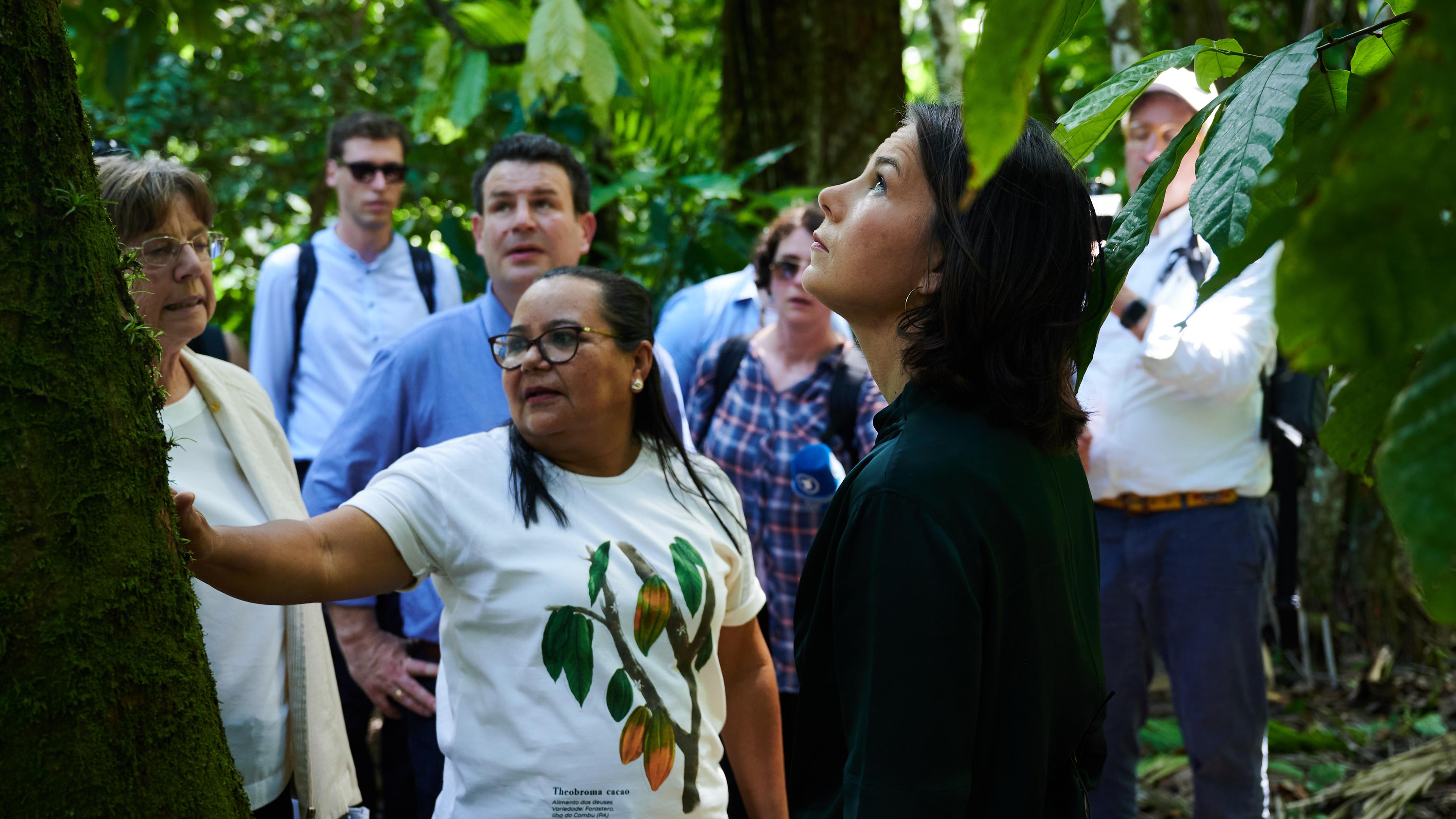 Annalena Baerbock (r, Bündnis 90/Die Grünen), Außenministerin und Hubertus Heil (M hinten, SPD), Minister für Arbeit und Soziales, besuchen den Regenwald auf der Insel Combu (Ilha do Combu) bei Belem, Brasilien, während sie mit Vertretern von lokalen Initiativen sprechen.