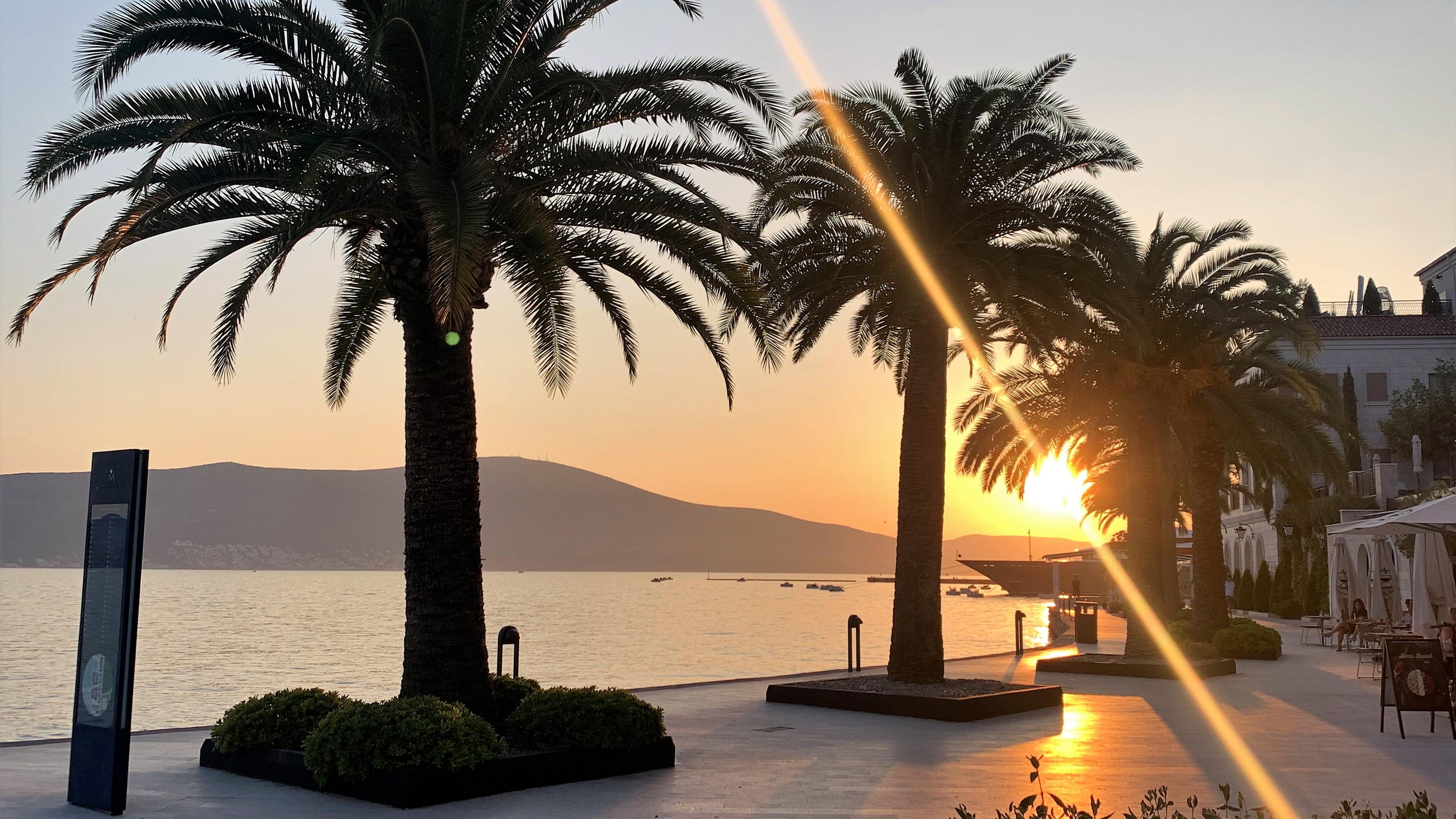 Blick auf eine mit Palmen bestandene Promenade am Meer, die von der untergehenden Sonne beschienen wird. Im Hintergrund eine bergige Küste.