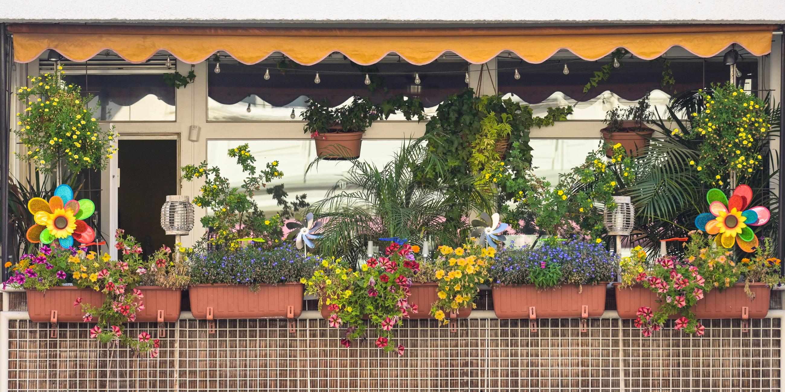 Balkon mit üppig blühenden Sommerblumen bepflanzter Balkon.