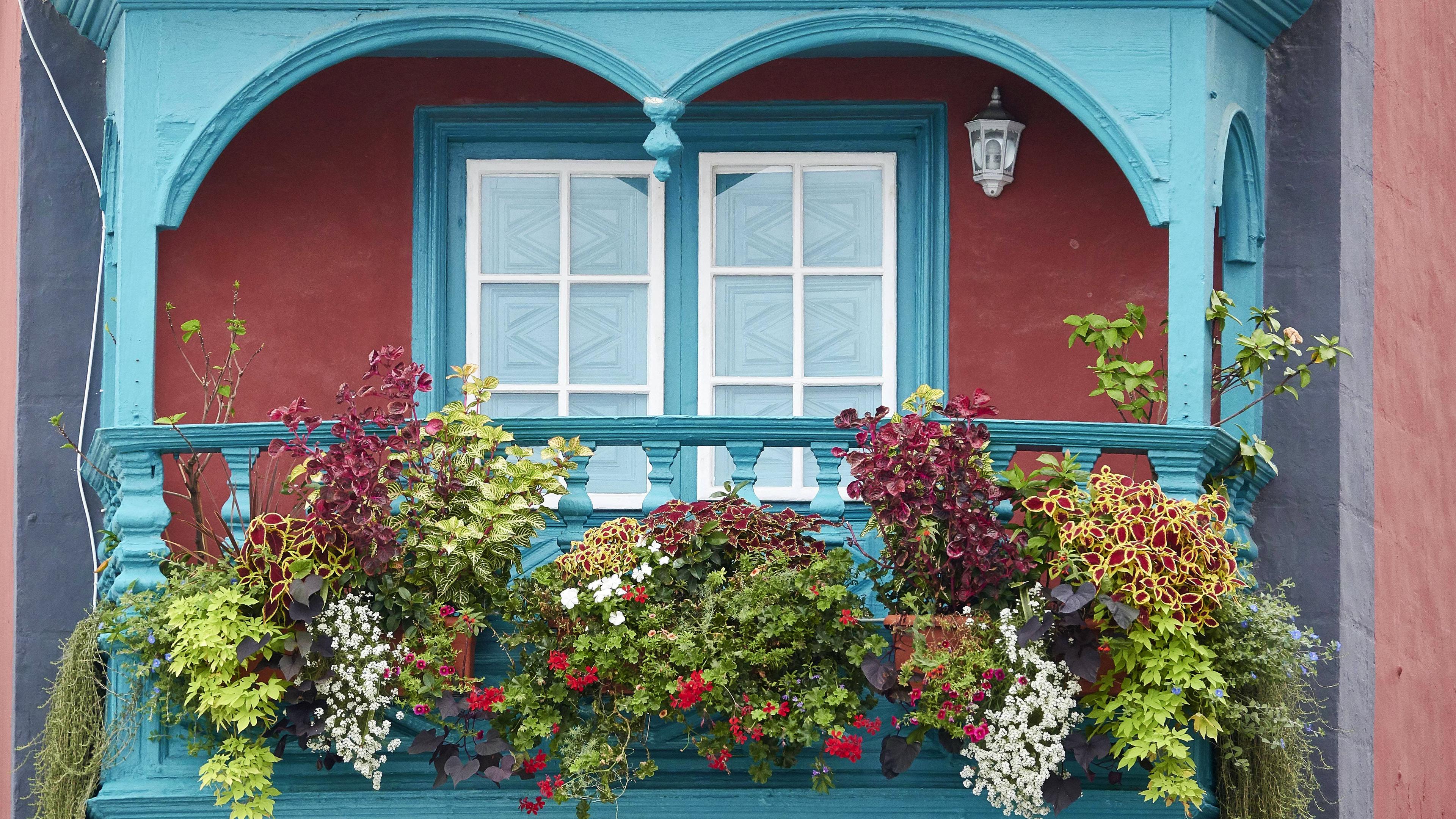 Balkon mit viel Pflanzen