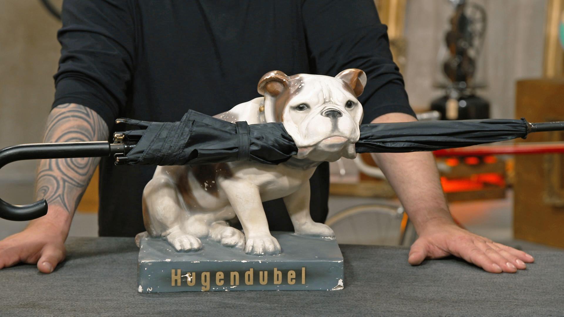 Ein kurioser Werbeaufsteller für Regeschirme in Form einer Bulldogge 