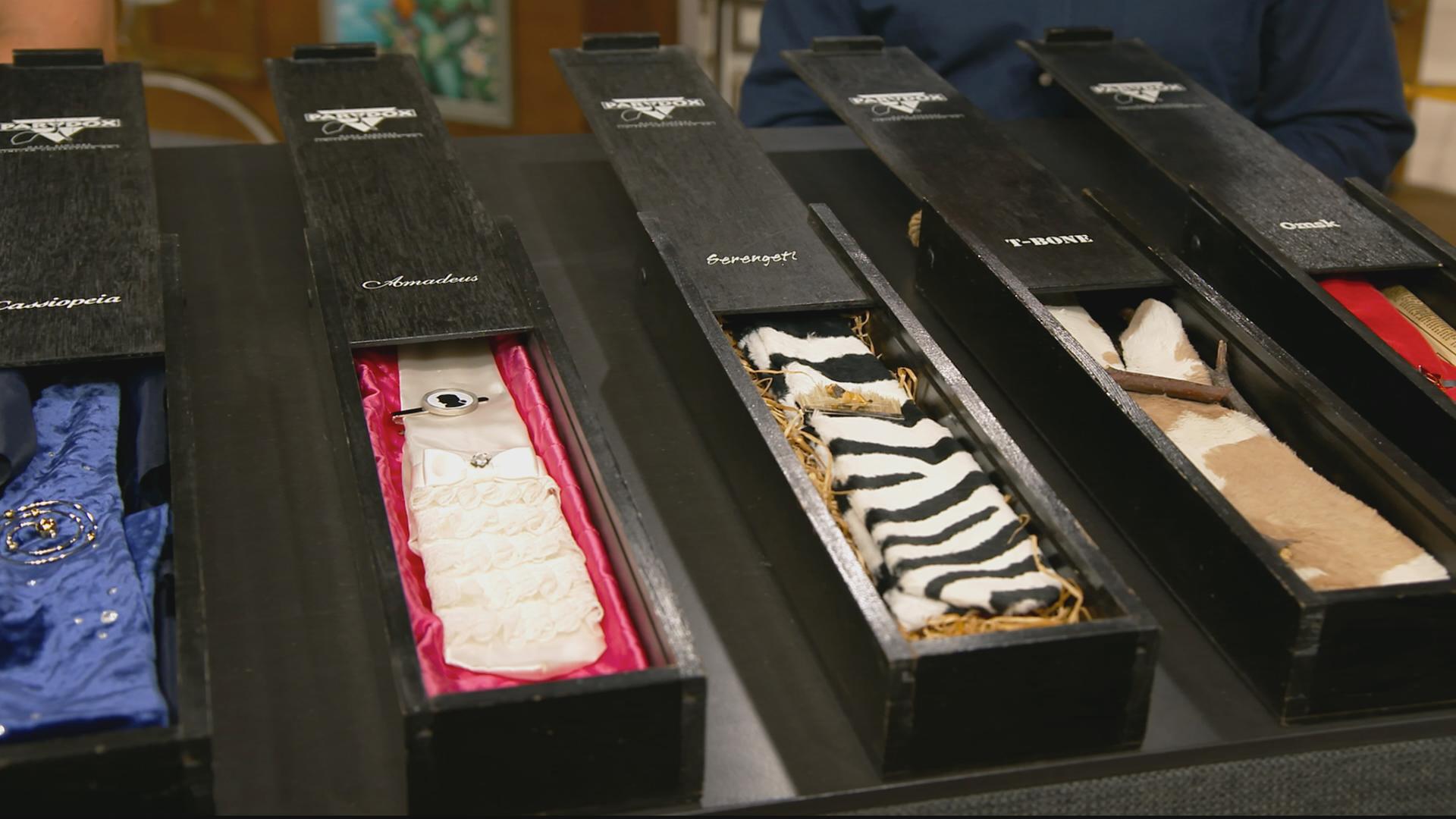 8 Paradox Krawatten in schwarzen Schachteln.