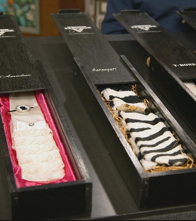 8 Paradox Krawatten in schwarzen Schachteln.