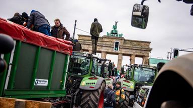 Kulturzeit - Bauernproteste - Mit Dem Trecker Nach Berlin