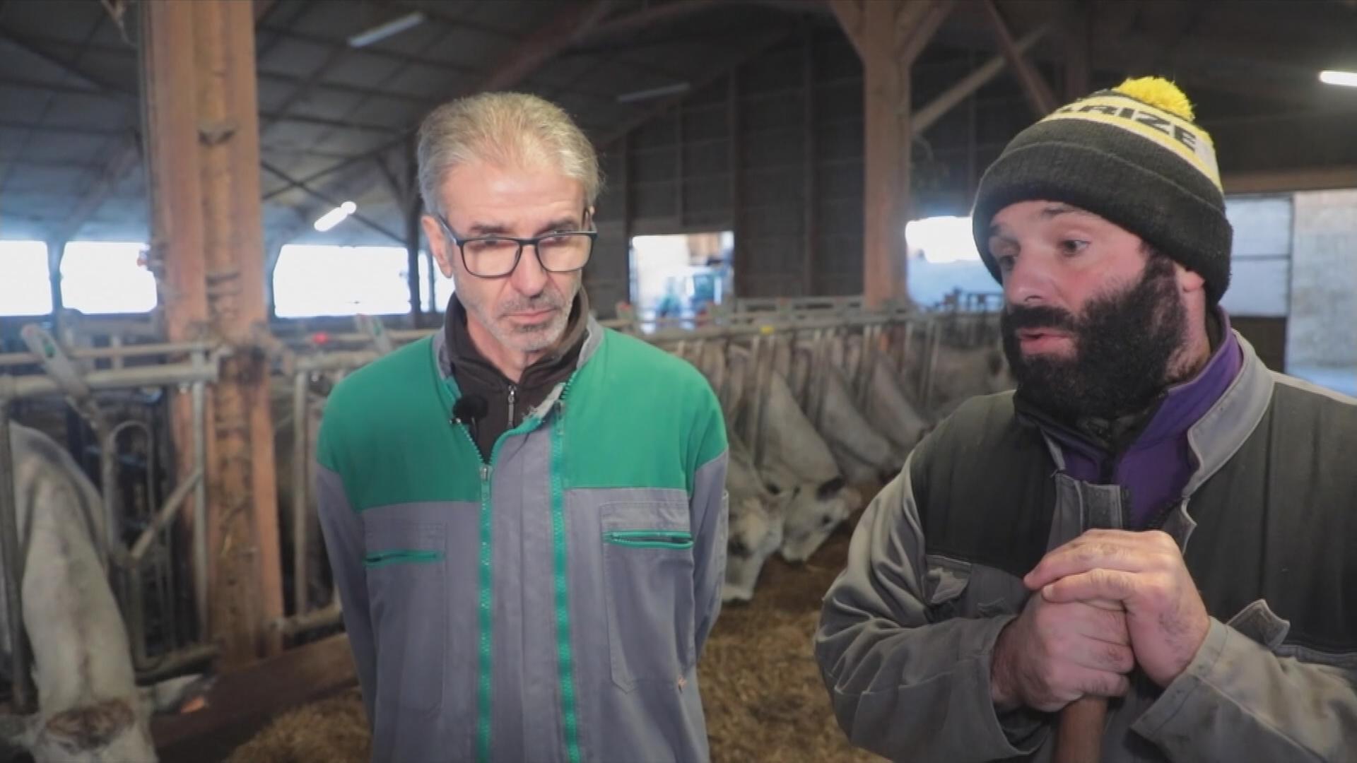 Bauernproteste in Frankreich