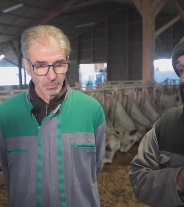 Bauernproteste in Frankreich