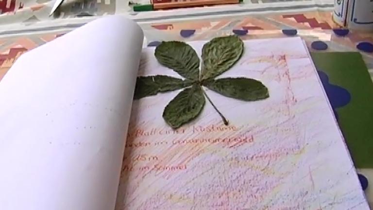 Ein Baumbuch mit einem eingeklebten Blatt
