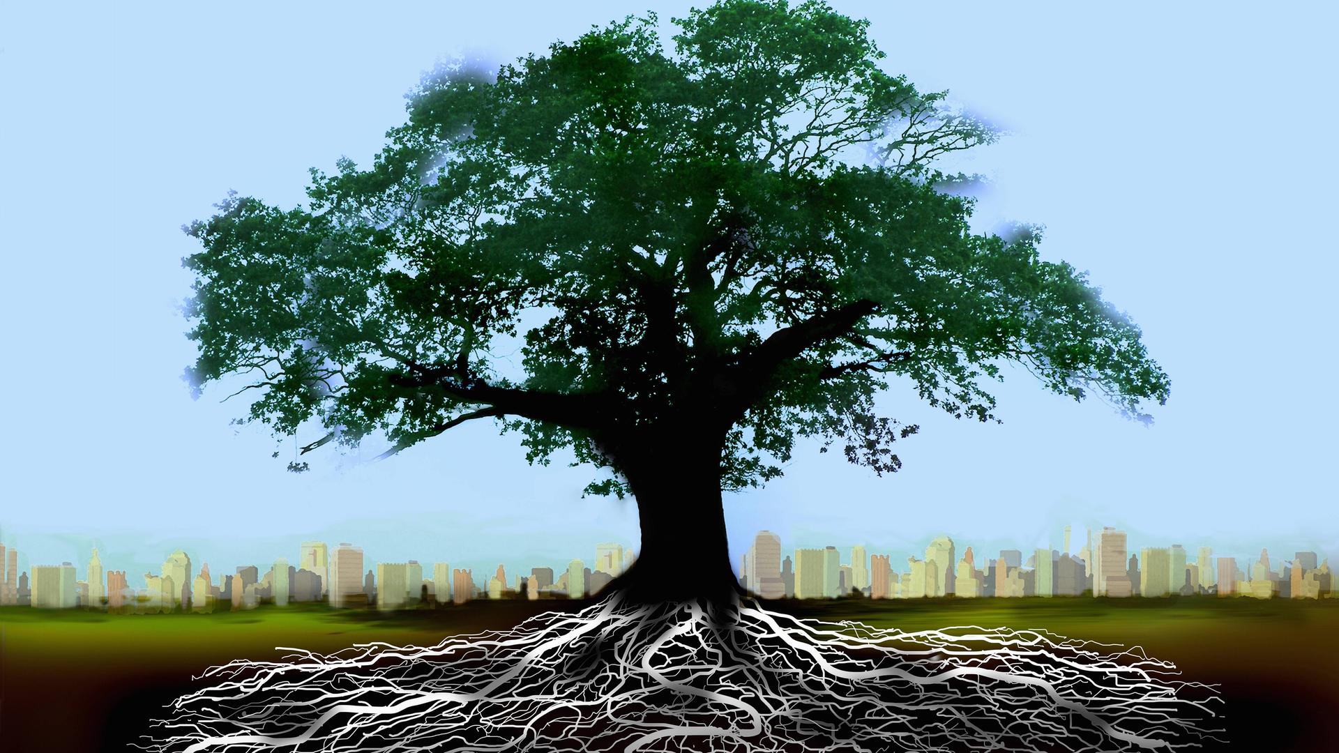 Grafik mit Baum oberirdisch und Wurzelwerk unterirdisch