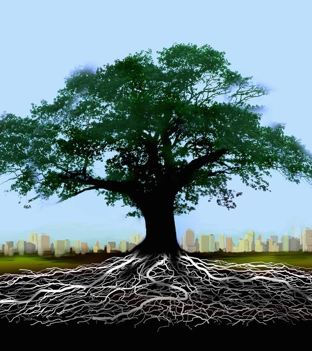 Grafik mit Baum oberirdisch und Wurzelwerk unterirdisch