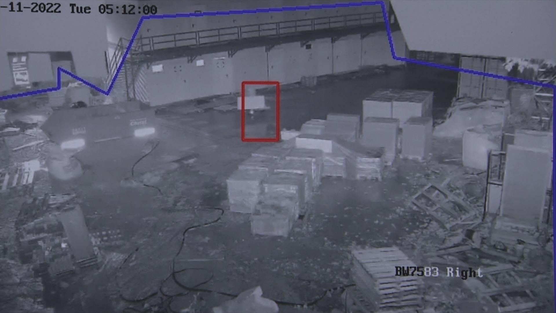 Schwarz-Weiß-Bild aus der Überwachungskamera. Eine Person ist rot umrandet, die gerade eine Platte klaut.