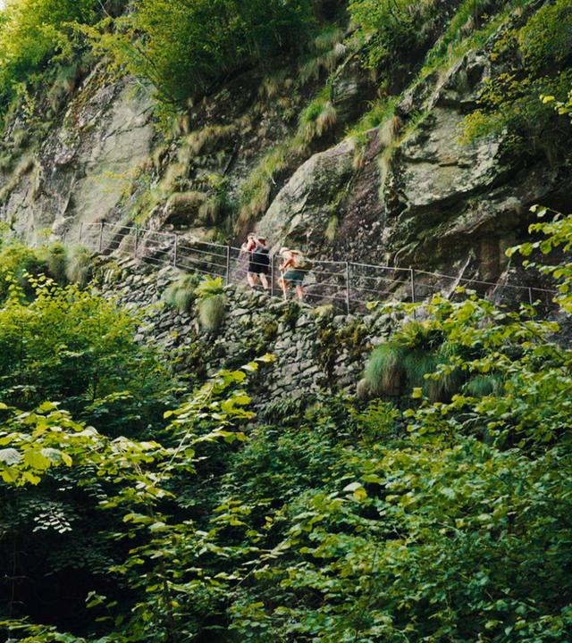 Im Bavonatal führen steile Steintreppen, gesichert durch ein einfaches Geländer, durch üppiges Grün auf entlegene Alpweiden. Zwei Wanderer sind auf den Stufen sichtbar, umgeben von der sattgrünen Vegetation des Schweizer Berglands.