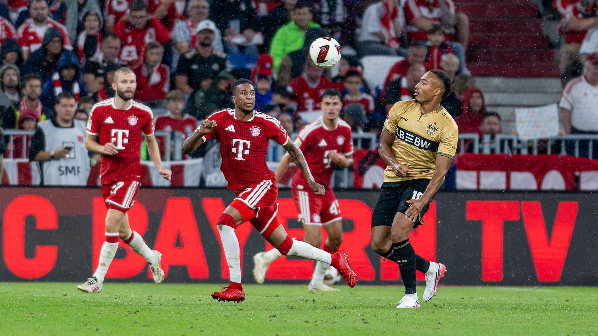 Michael Olise (FC Bayern München) und Jamie Leweling (VfB Stuttgart) kämpfen. 