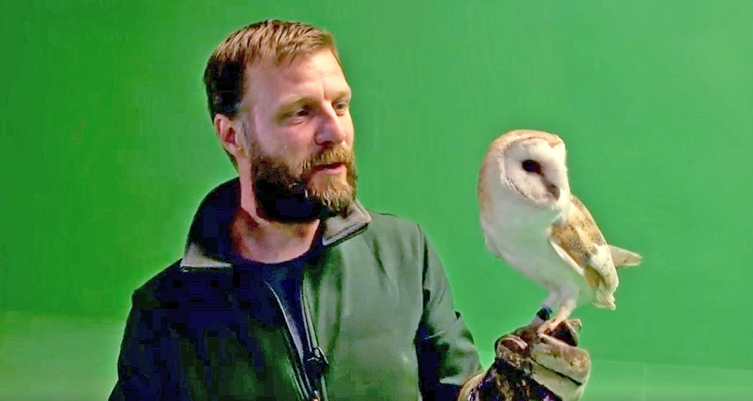 Tiertrainer vor grünem Hintergrund mit einer weißen Eule auf der linken Hand