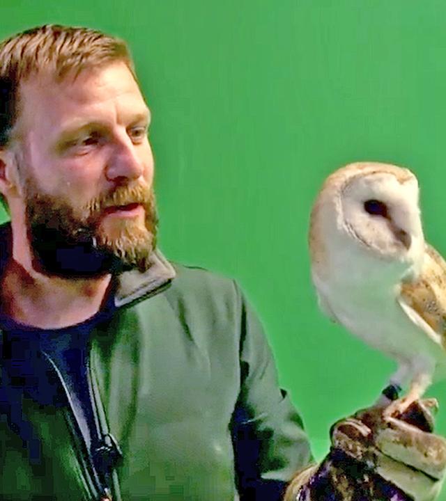 Tiertrainer vor grünem Hintergrund mit einer weißen Eule auf der linken Hand