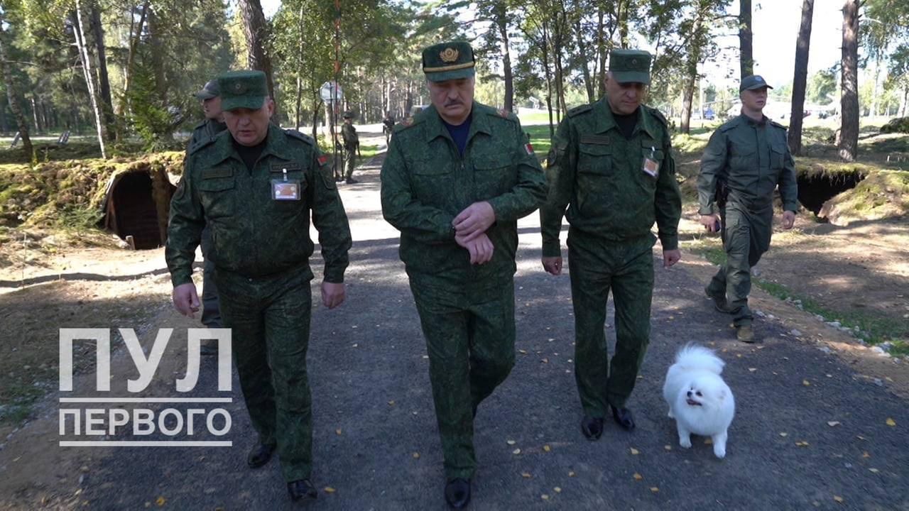Belarussischer Präsident Lukaschenko mit seinem Hund