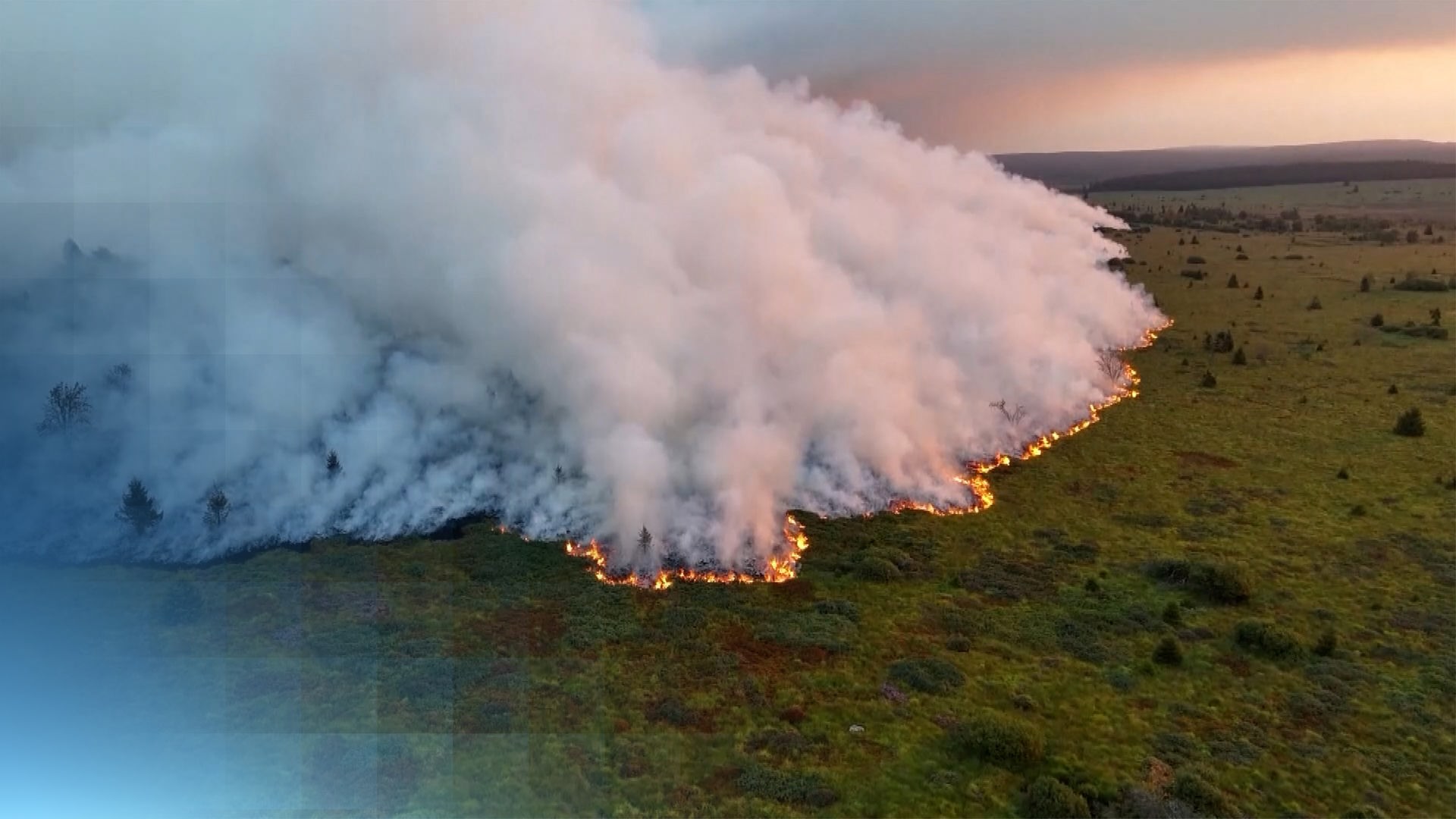 Eine riesige Rauchwolke über dem belgischen Naturschutzgebiet Hohes Venn. Eine Feuerfront bewegt sich durch den Wald.