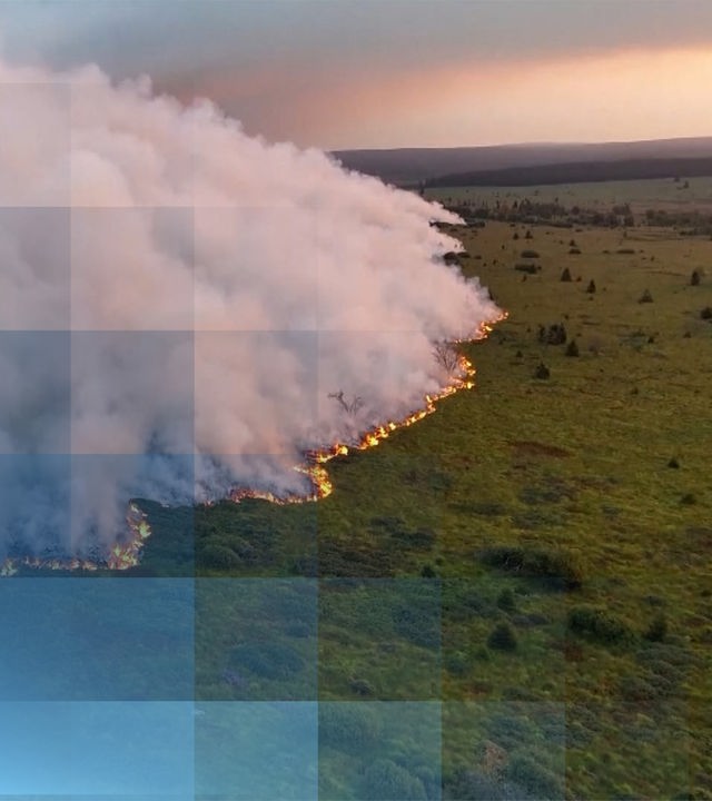 Eine riesige Rauchwolke über dem belgischen Naturschutzgebiet Hohes Venn. Eine Feuerfront bewegt sich durch den Wald.