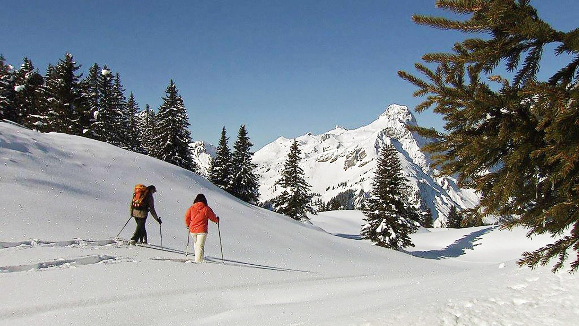 Schneeschuhwanderung im hinteren Bregenzerwald