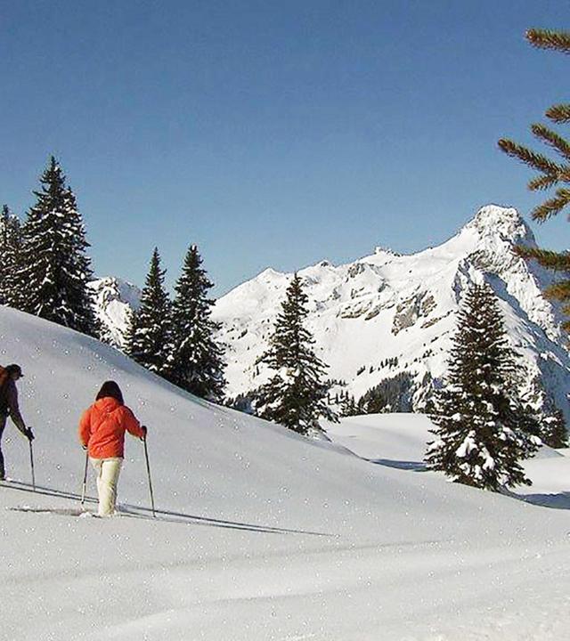 Schneeschuhwanderung im hinteren Bregenzerwald