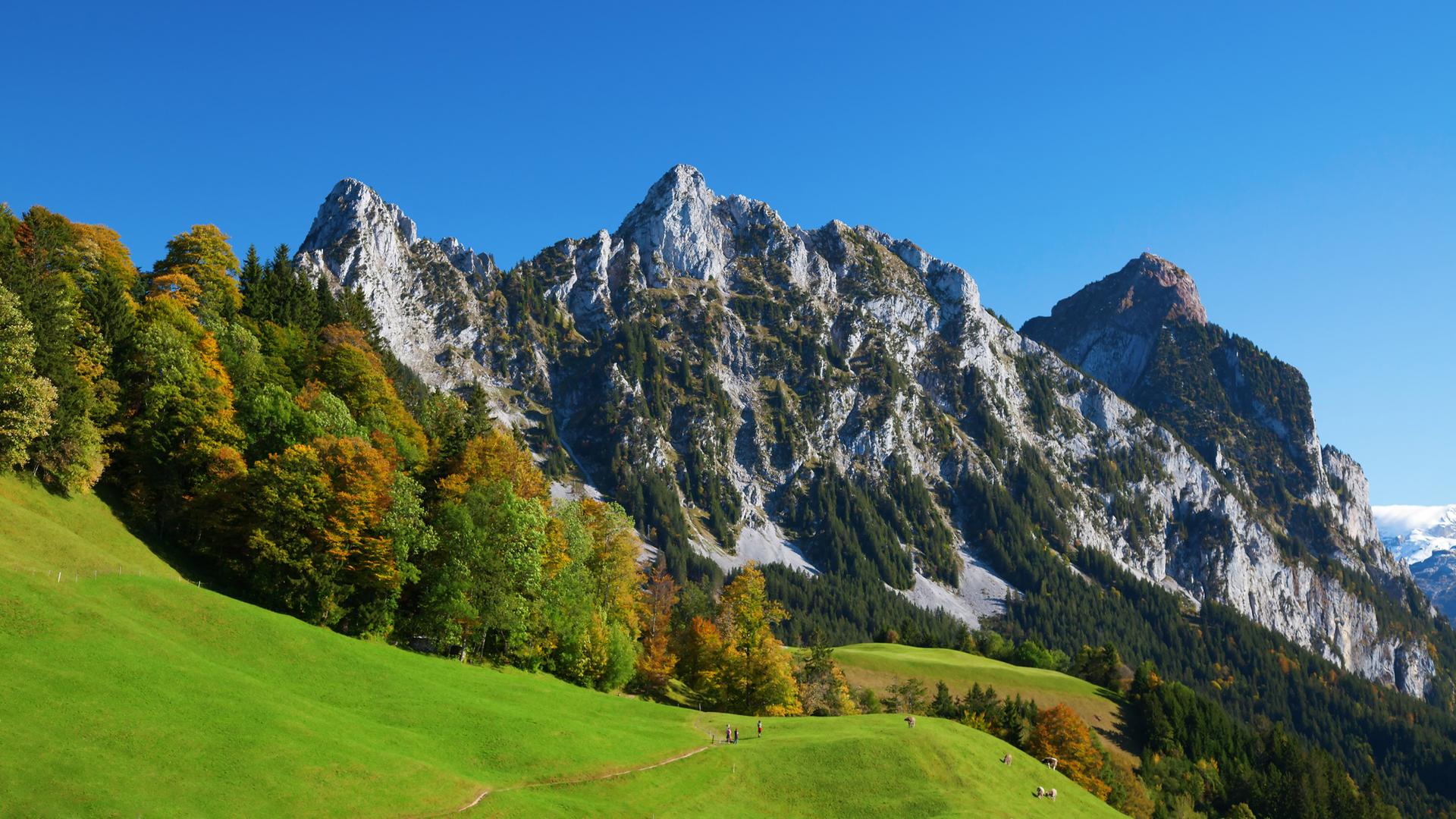 Berglandschaft in den Schweizer Alpen