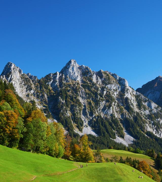 Berglandschaft in den Schweizer Alpen