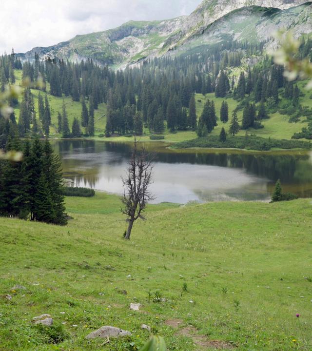 Hohe Berge und klare Wasser pägen diese Landschaft - mal spektakulär, mal verträumt