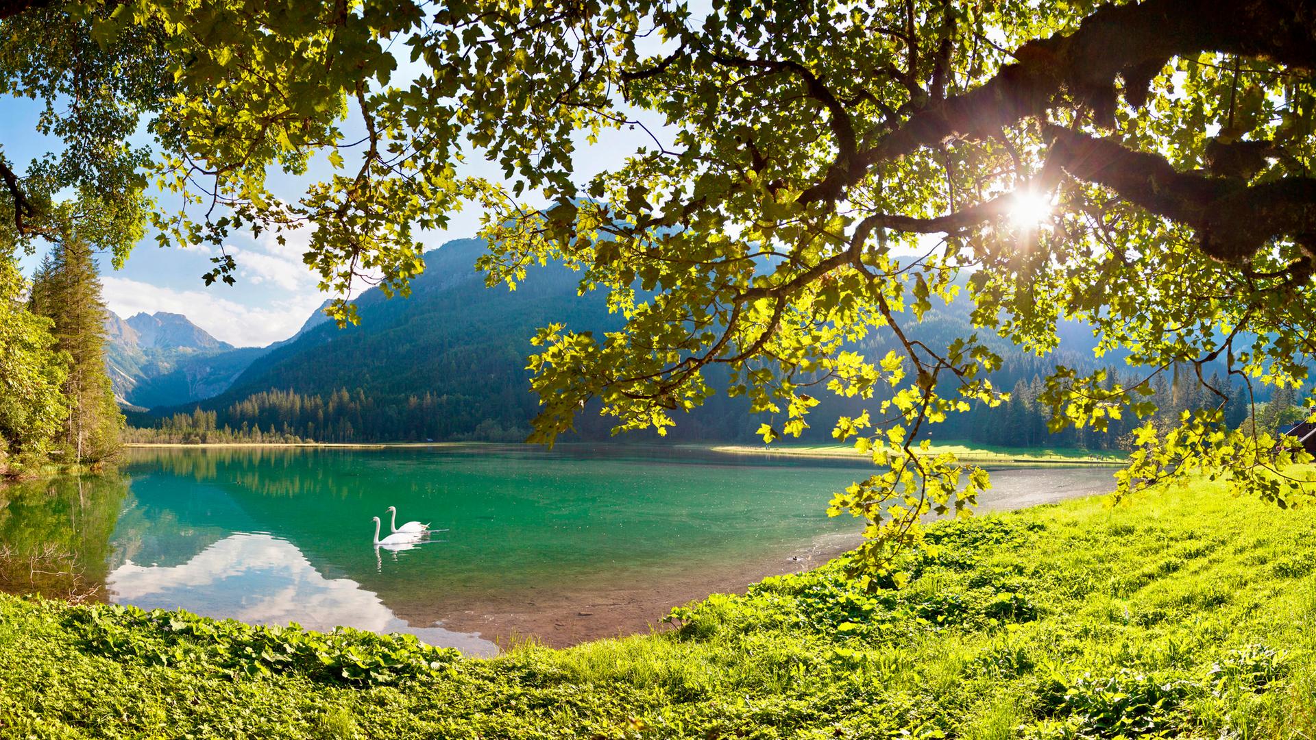 Der Jägersee im Kleinarltal