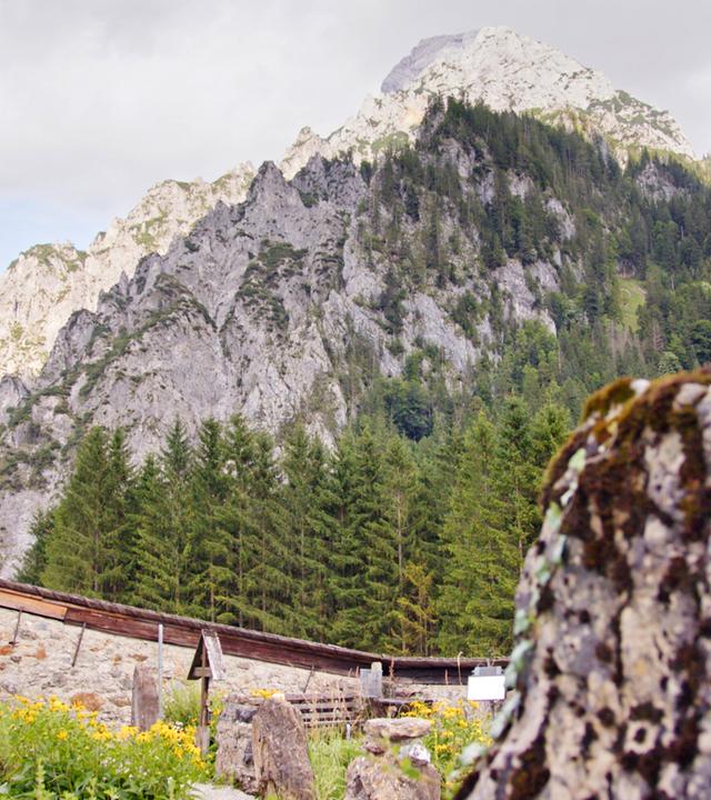 Das Bild zeigt den Bergsteigerfriedhof in Johnsbach, einem kleinen Ort im Gesäuse. Im Vordergrund ist ein Stein mit einem schwarzen Kreuz sichtbar, das auf einem moosbedeckten Felsen steht. Die Szenerie wird von der majestätischen Berglandschaft umgeben, die aus steilen, grauen Felsformationen und grünen Wäldern besteht. Im Hintergrund erheben sich hohe Berge, deren Spitzen teilweise von Wolken umhüllt sind. Der Himmel hat eine helle, bewölkte Erscheinung, und es wachsen gelbe Blumen im Vordergrund, was der Szenerie eine lebendige Note verleiht. Der Ort strahlt eine ruhige und friedliche Atmosphäre aus, die typisch für Bergregionen ist.