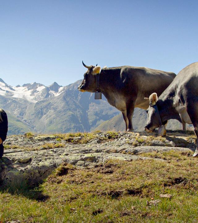 Junge Frau sitzt auf einem Felsen vor grasenden Kühen