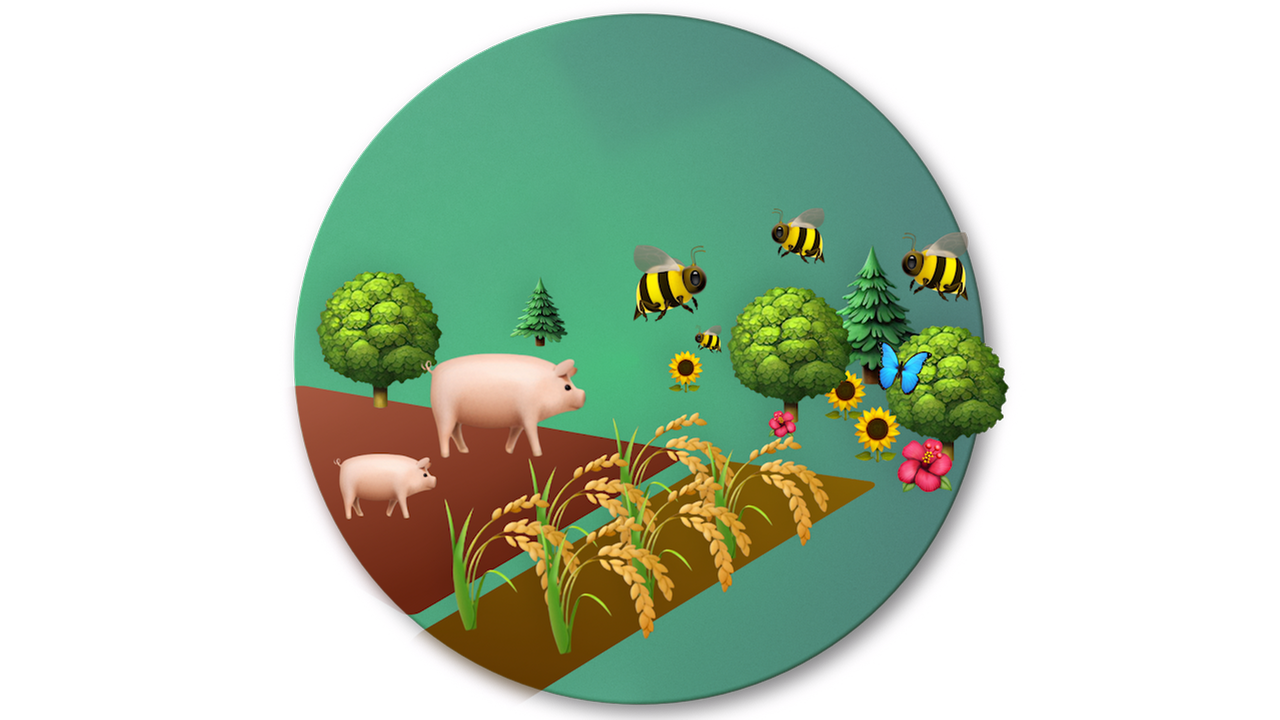 MaiThink X - Die Show: Besseres Bio