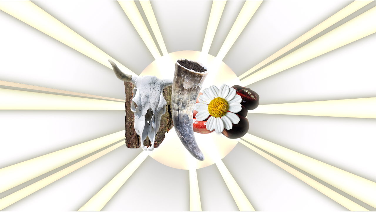 MaiThink X - Die Show: Besseres Bio