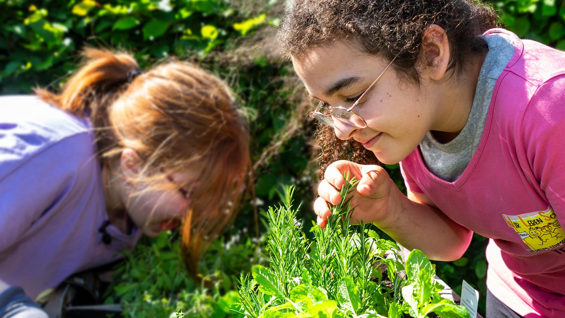 Zwei Kinder stehen über ein grünes Gemüsebeet gebeugt.