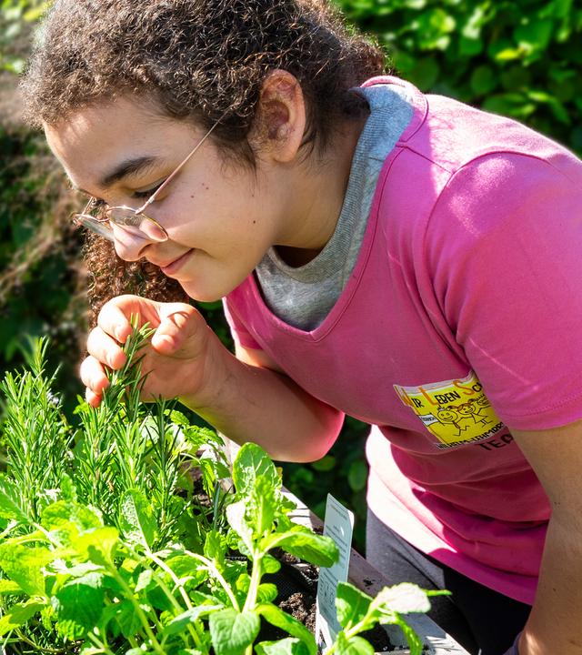 Zwei Kinder stehen über ein grünes Gemüsebeet gebeugt.