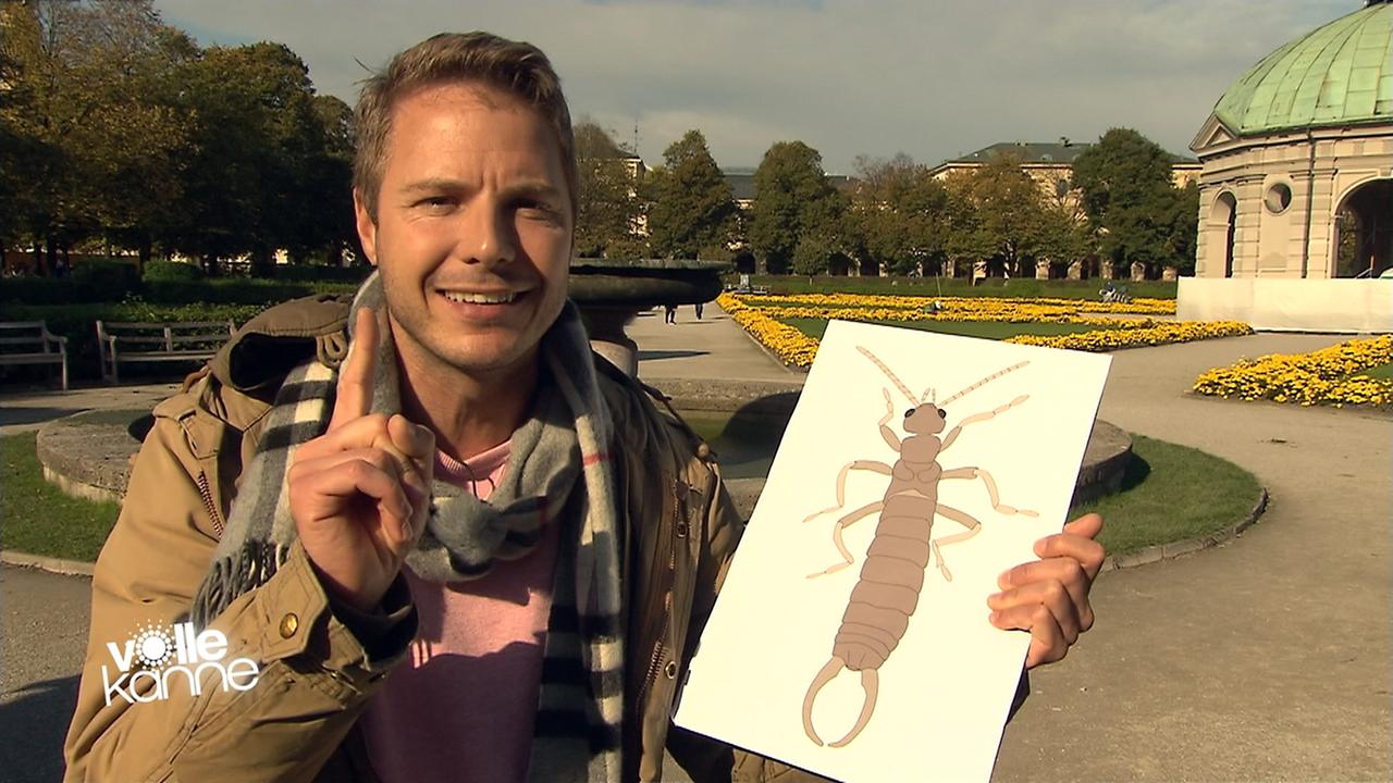 Woher Kommt Der Begriff Schrebergarten