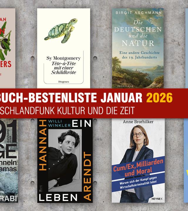 Die Sachbuch-Bestenliste für Januar 2026