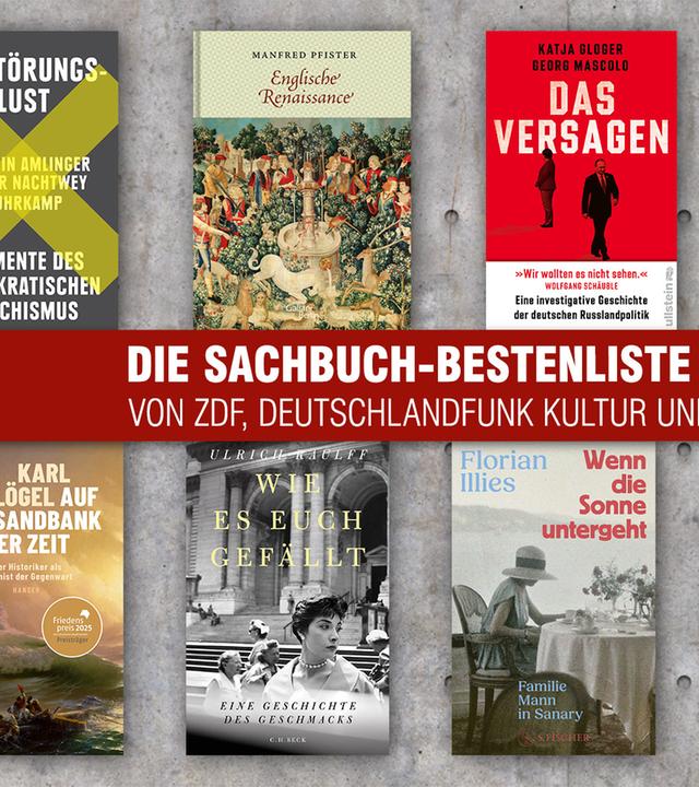 Die Buchcover der Sachbuch-Bestenliste für November 2025