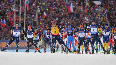 Wintersport: Biathlon, Skispringen, Ski-alpin U.v.m. - Live - Wintersport U.a. Mit Biathlon-wm Und Mehr