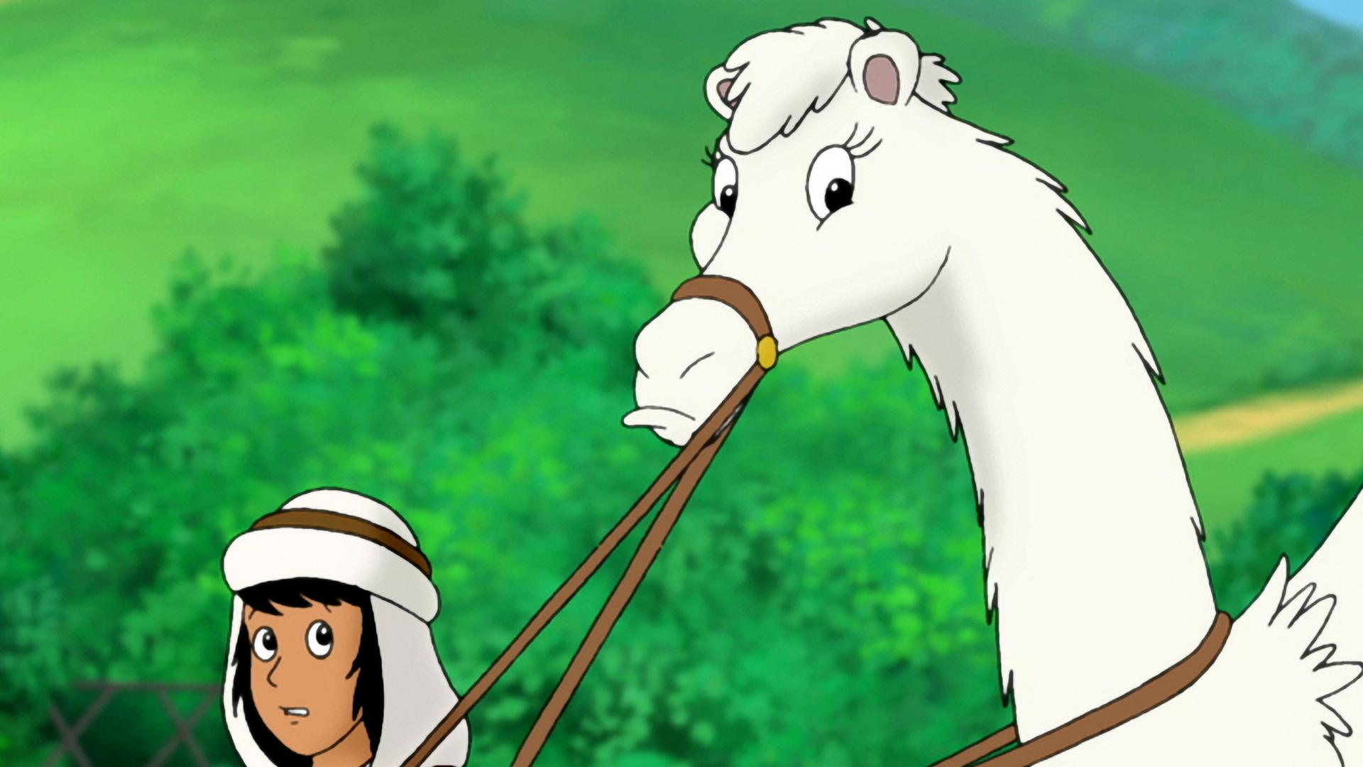 Ein Beduine führt ein Dromedar an der Leine.