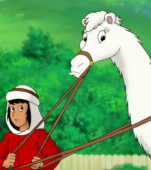 Ein Beduine führt ein Dromedar an der Leine.