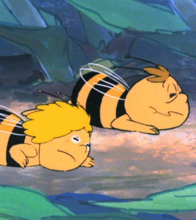 Die beiden Bienenkinder Maja und Willi haben sich flach auf den Boden gelegt und hoffen, dass der Wind sie nicht wegweht.