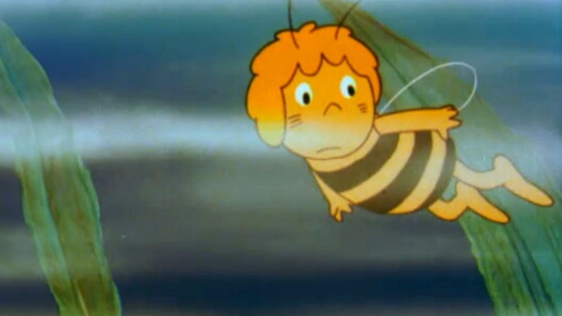 Das Bienenmädchen Maja fliegt durch ein Blätterdickicht inmitten von Nebelschwaden. Sie schaut sich suchend um.